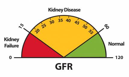 normal egfr levels by age
